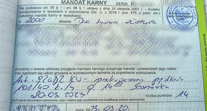 zdjęcie mandatu