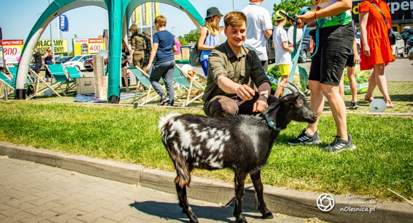 zdjęcie z wydarzenia