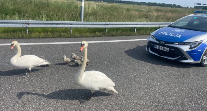 zdjęcie z miejsca zdarzenia