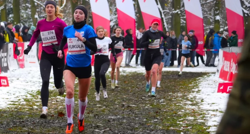 zdjęcie: Alicja Kukuła