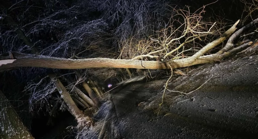 zdjęcie: KPPSP - P. Adamski