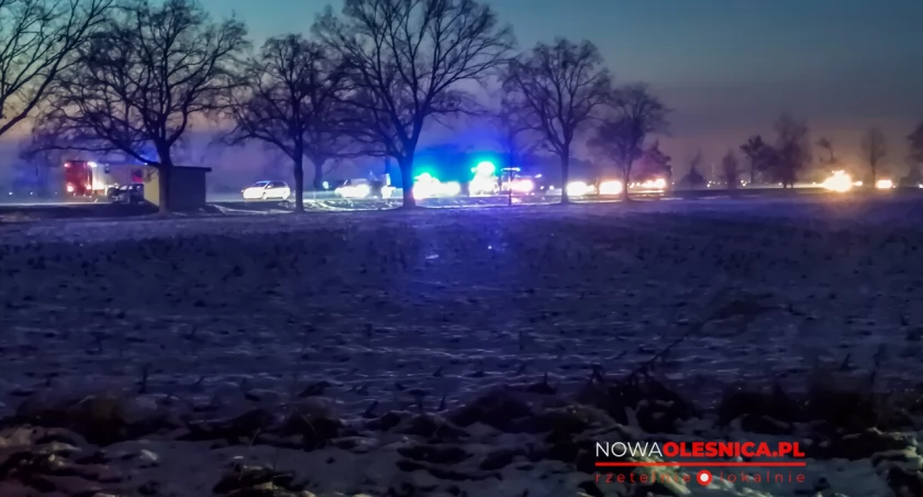 zdjęcie nadesłane przez czytelnika