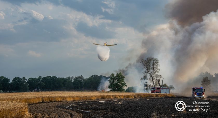 Na sygnale, Duży pożar zboża Brzezince spłonęło ponad interweniowały pożarnicze Dromadery - zdjęcie, fotografia