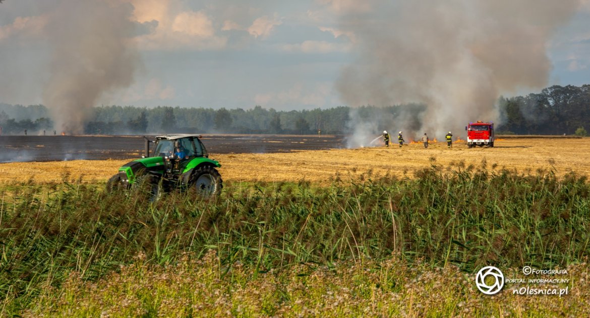 Na sygnale, Pożar ścierniska Boguszycach VIDEO - zdjęcie, fotografia