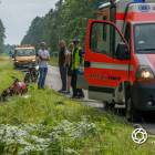 Fotka nr 1 z 8