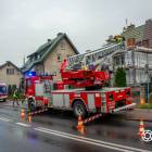 Fotka nr 2 z 11