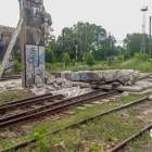 zdjęcie nr 7