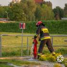 zdjęcie nr 8