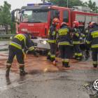 Fotka nr 5 z 14