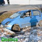 Fotka nr 2 z 15