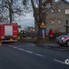 Fotka nr 3 z 12
