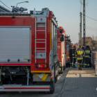 Fotka nr 1 z 6
