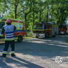 Fotka nr 5 z 18