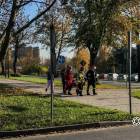 zdjęcie nr 7