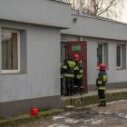 Fotka nr 5 z 10