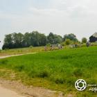 zdjęcie nr 14