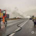 Fotka nr 2 z 15