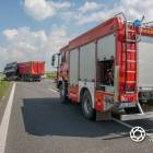 Fotka nr 1 z 12