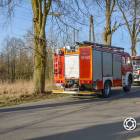 Fotka nr 2 z 4