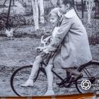 zdjęcie nr 34