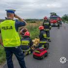 Fotka nr 1 z 17