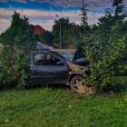 Fotka nr 1 z 10