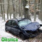 Fotka nr 5 z 24