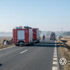 zdjęcie nr 8