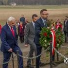 zdjęcie nr 34