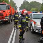 Fotka nr 5 z 7