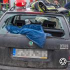 Fotka nr 2 z 17
