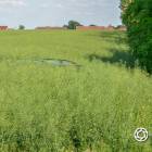 zdjęcie nr 14