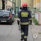 Fotka nr 3 z 12