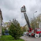 Fotka nr 4 z 14