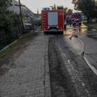 zdjęcie nr 11
