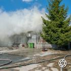Fotka nr 5 z 24