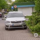 zdjęcie nr 8