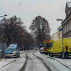 zdjęcie nr 8