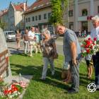 zdjęcie nr 22