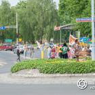 zdjęcie nr 58