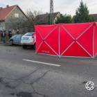 zdjęcie nr 9