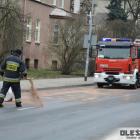 Fotka nr 5 z 18