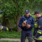 Fotka nr 2 z 18
