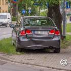 Fotka nr 1 z 8