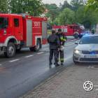 zdjęcie nr 17