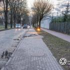 Fotka nr 4 z 6