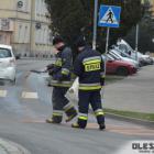 Fotka nr 4 z 18