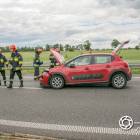 Fotka nr 2 z 13