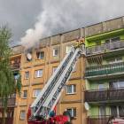 Fotka nr 4 z 21