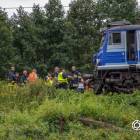 Fotka nr 3 z 24